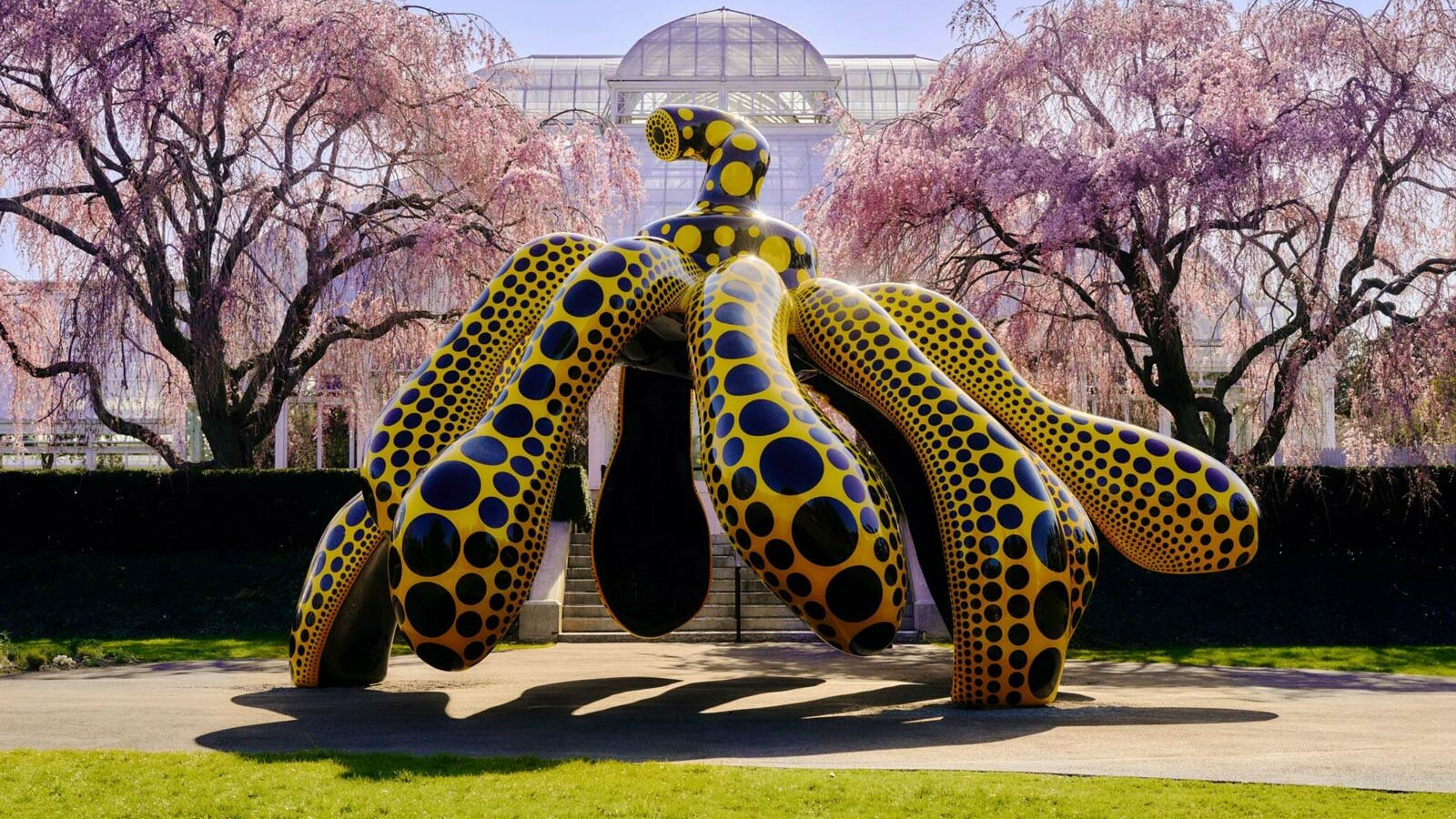 kusama - Peclers art